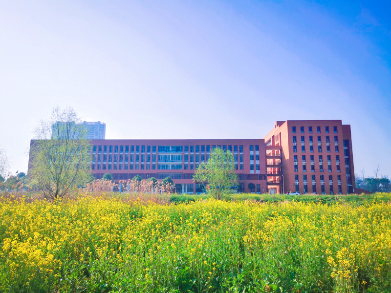 光谷东校区